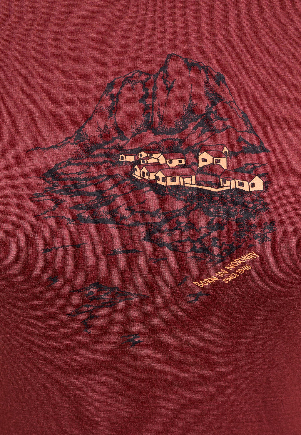 The Ascent 365 merino 200 Norway graphic