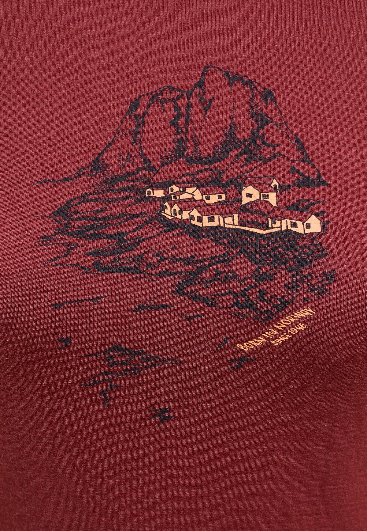 The Ascent 365 merino 200 Norway graphic