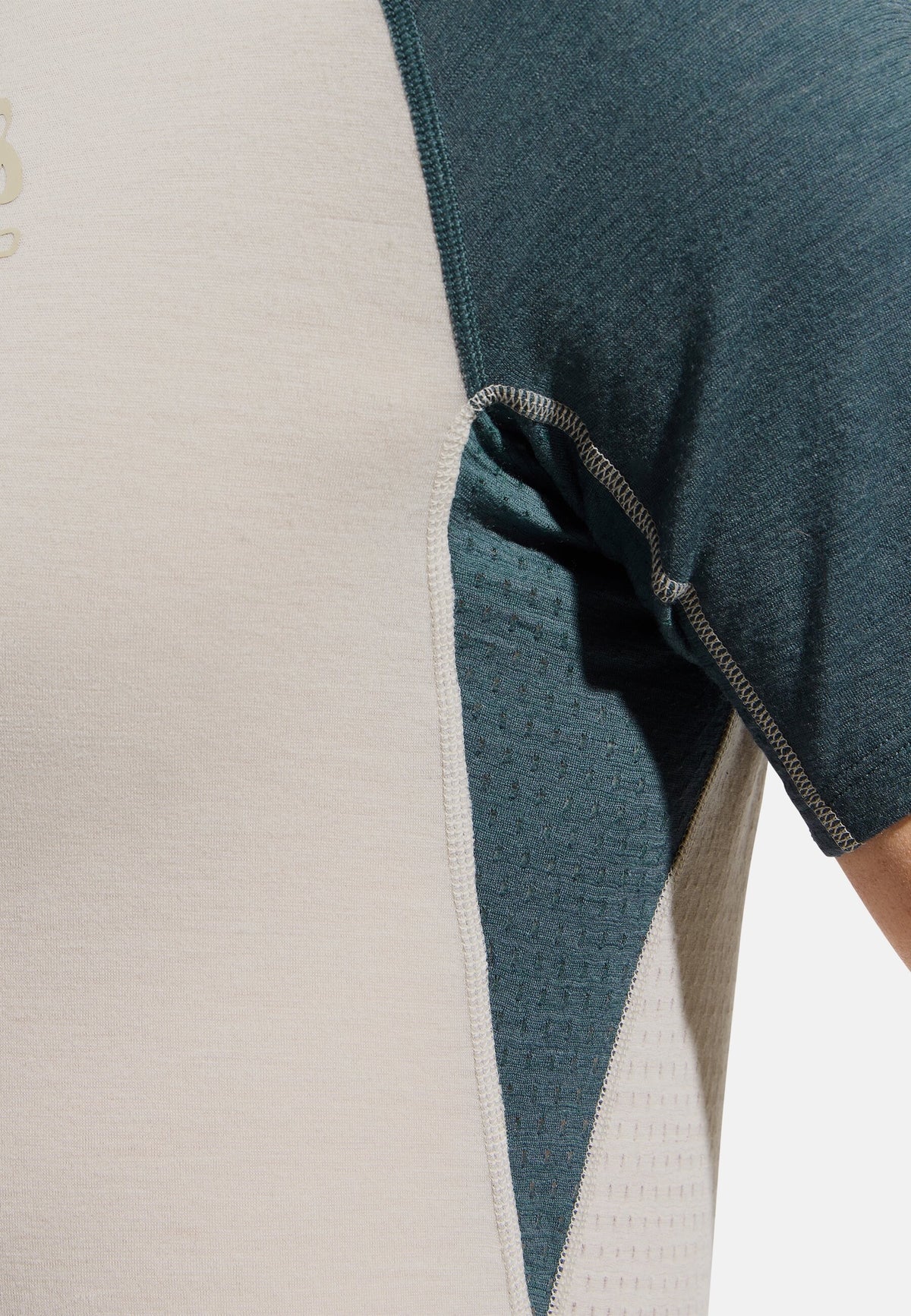 The Ascent Performance Wool 125 t-shirt