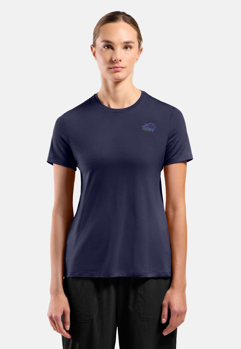 The Ascent merino 160 raincloud t-shirt