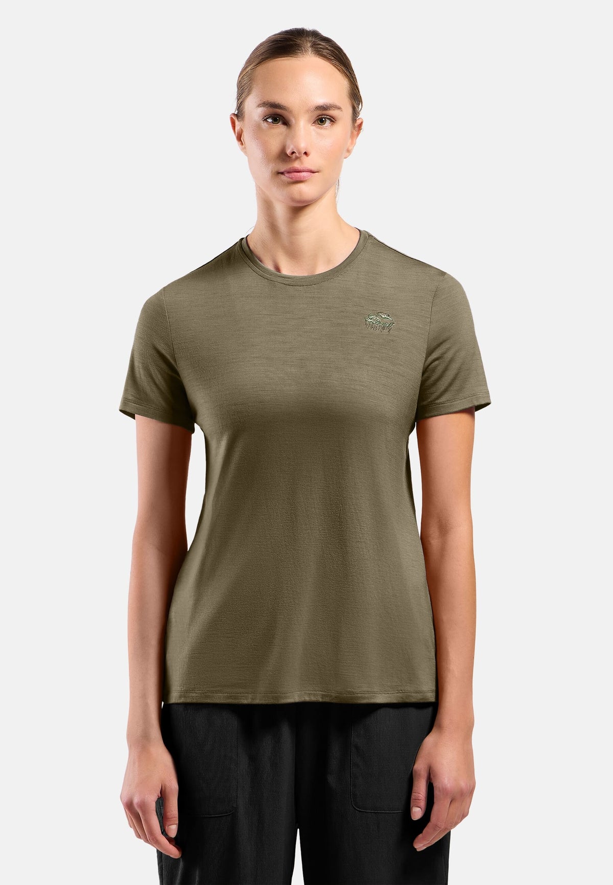 The Ascent merino 160 raincloud t-shirt