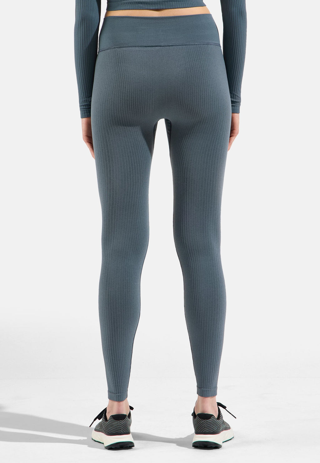 The Active 365 seamless training tights