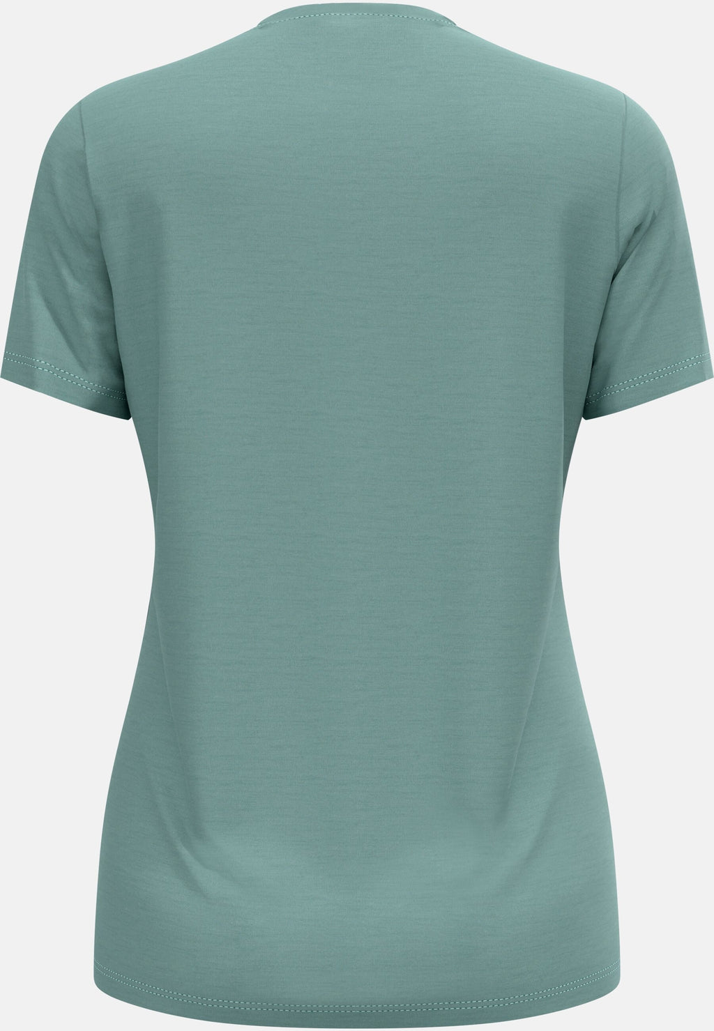 Ascent merino 160 tree t-shirt