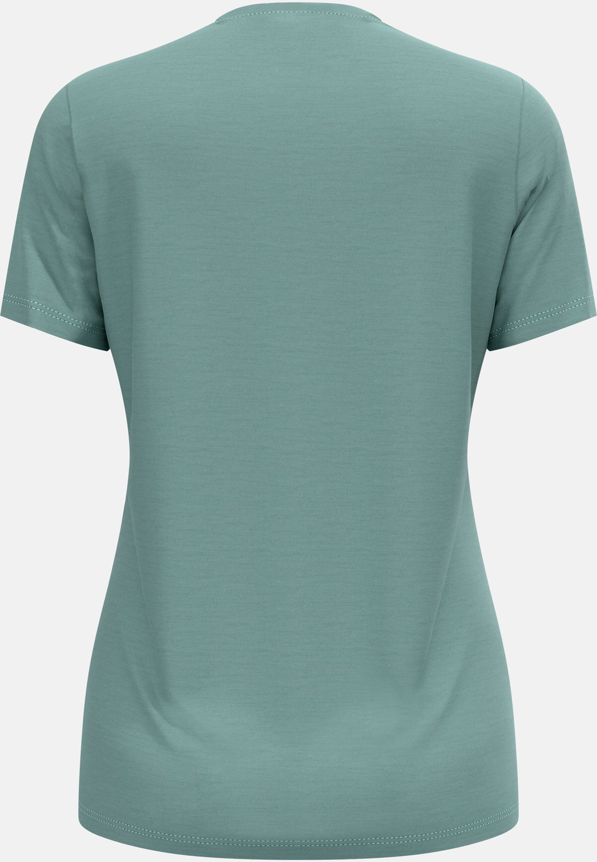 Ascent merino 160 tree t-shirt