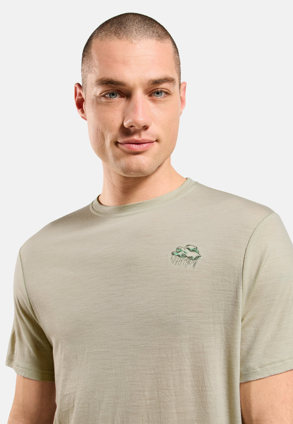 The Ascent merino 160 raincloud t-shirt