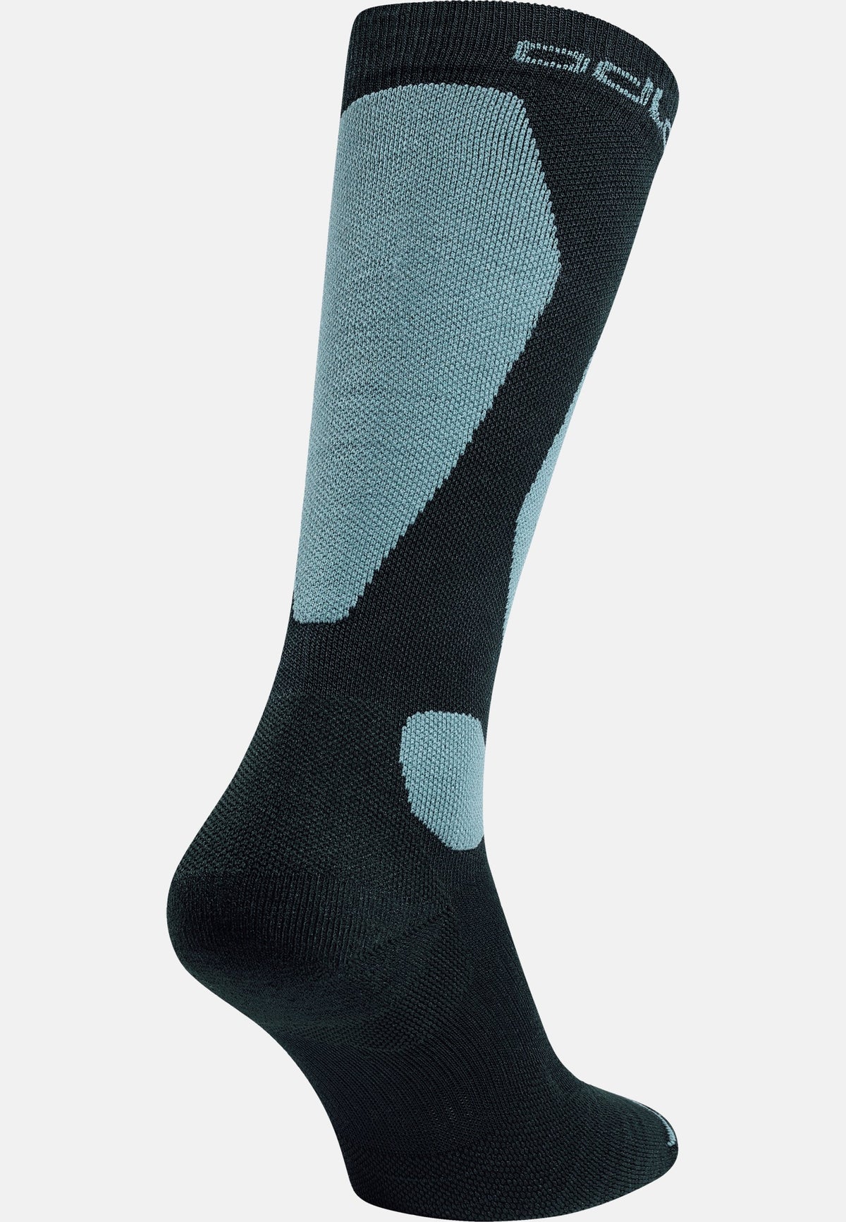 The Primaloft? Pro socks