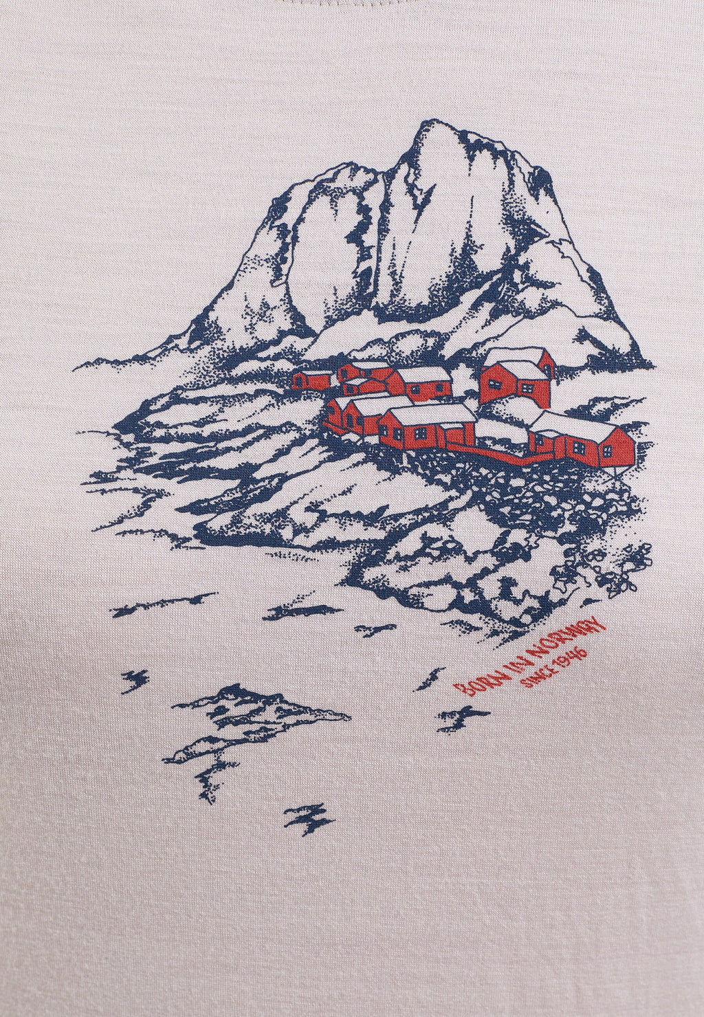 The Ascent 365 merino 200 Norway graphic