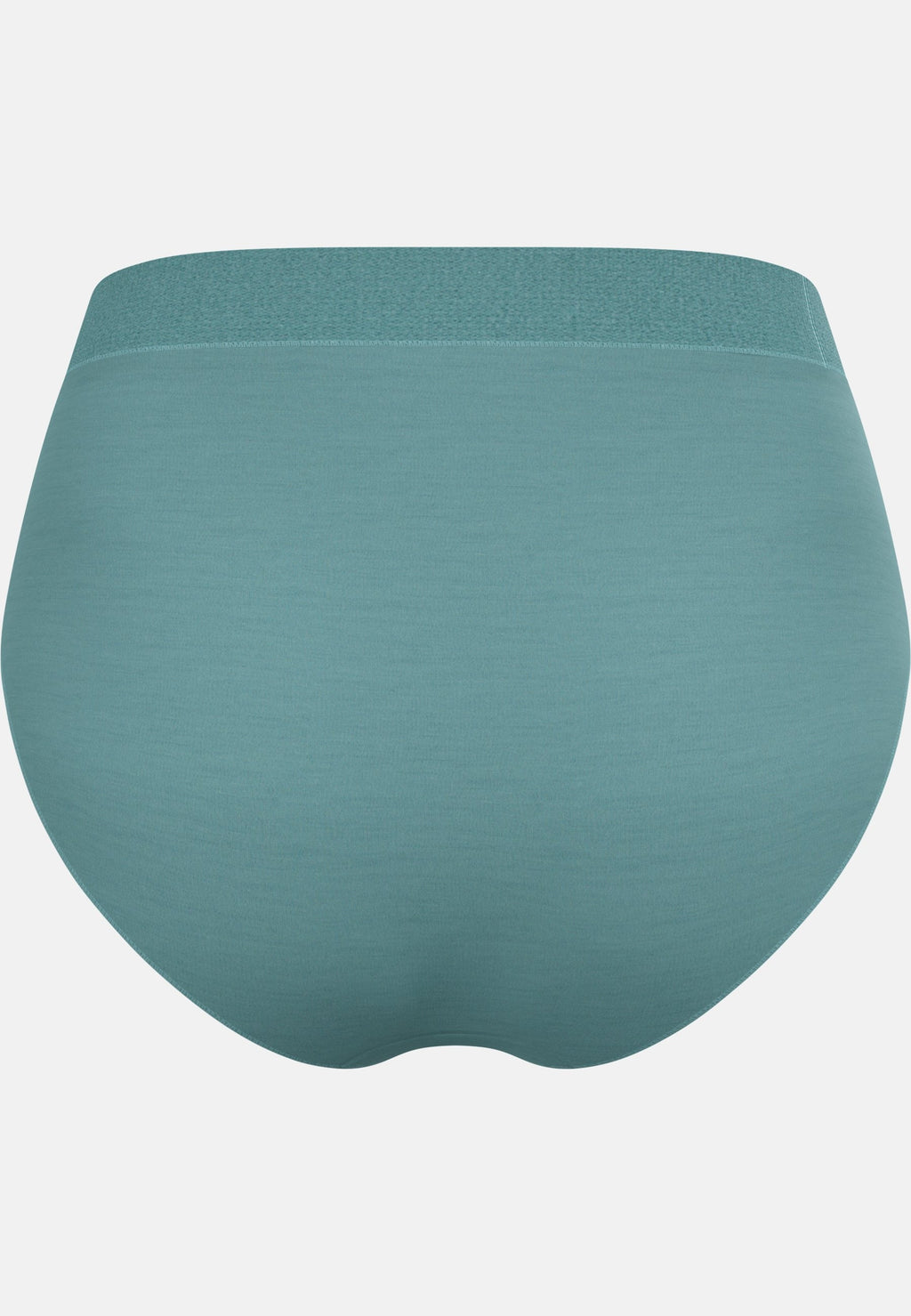 The Natural Merino 160 Brief