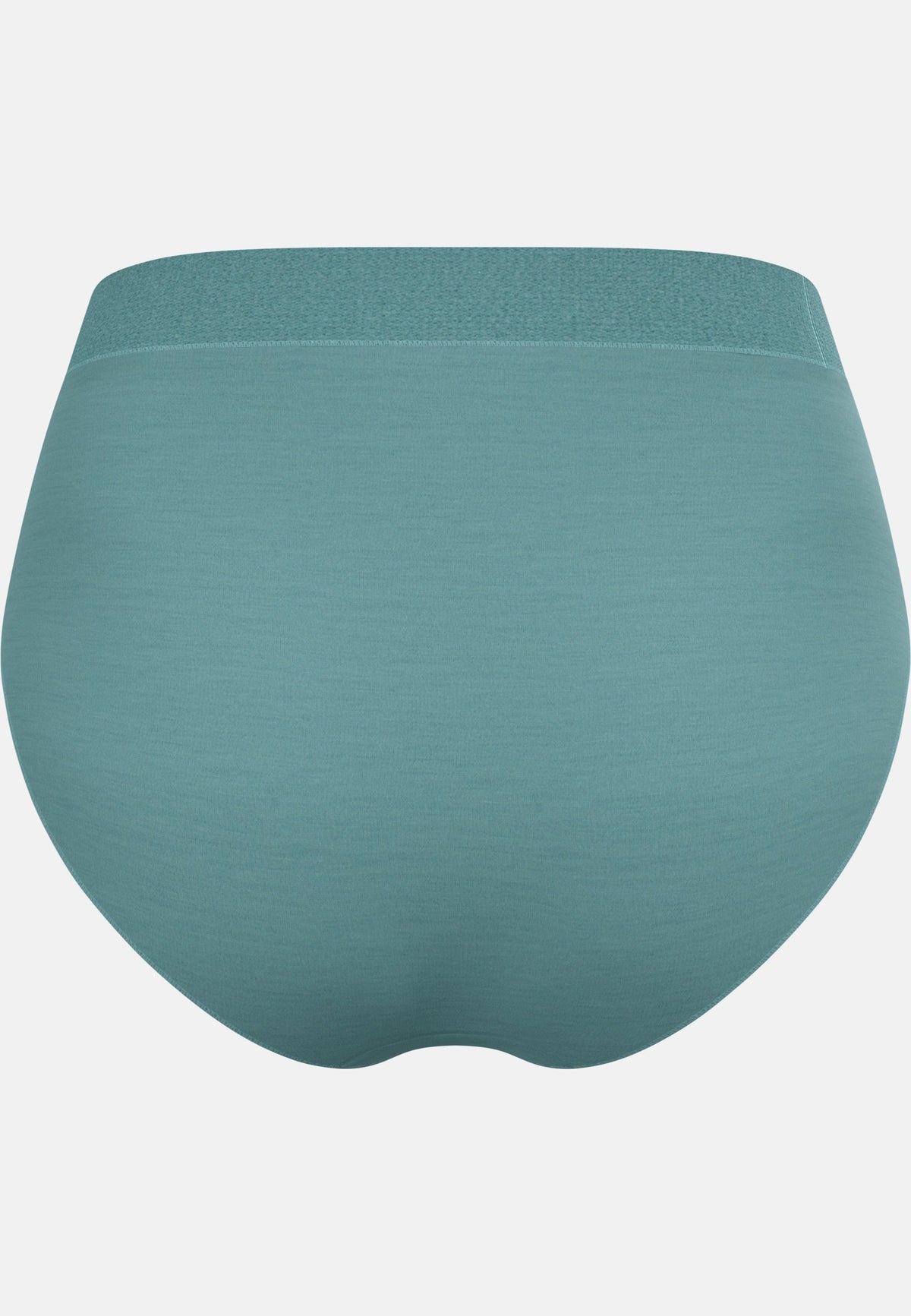 The Natural Merino 160 Brief
