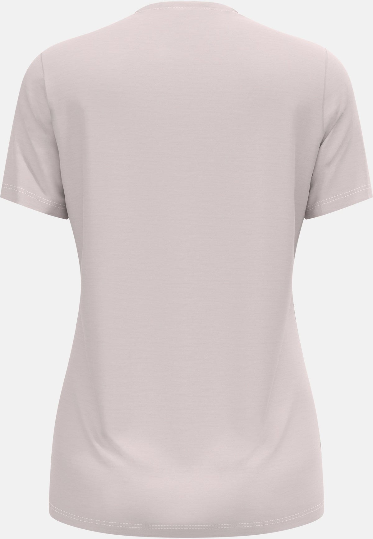 Ascent merino 160 tree t-shirt