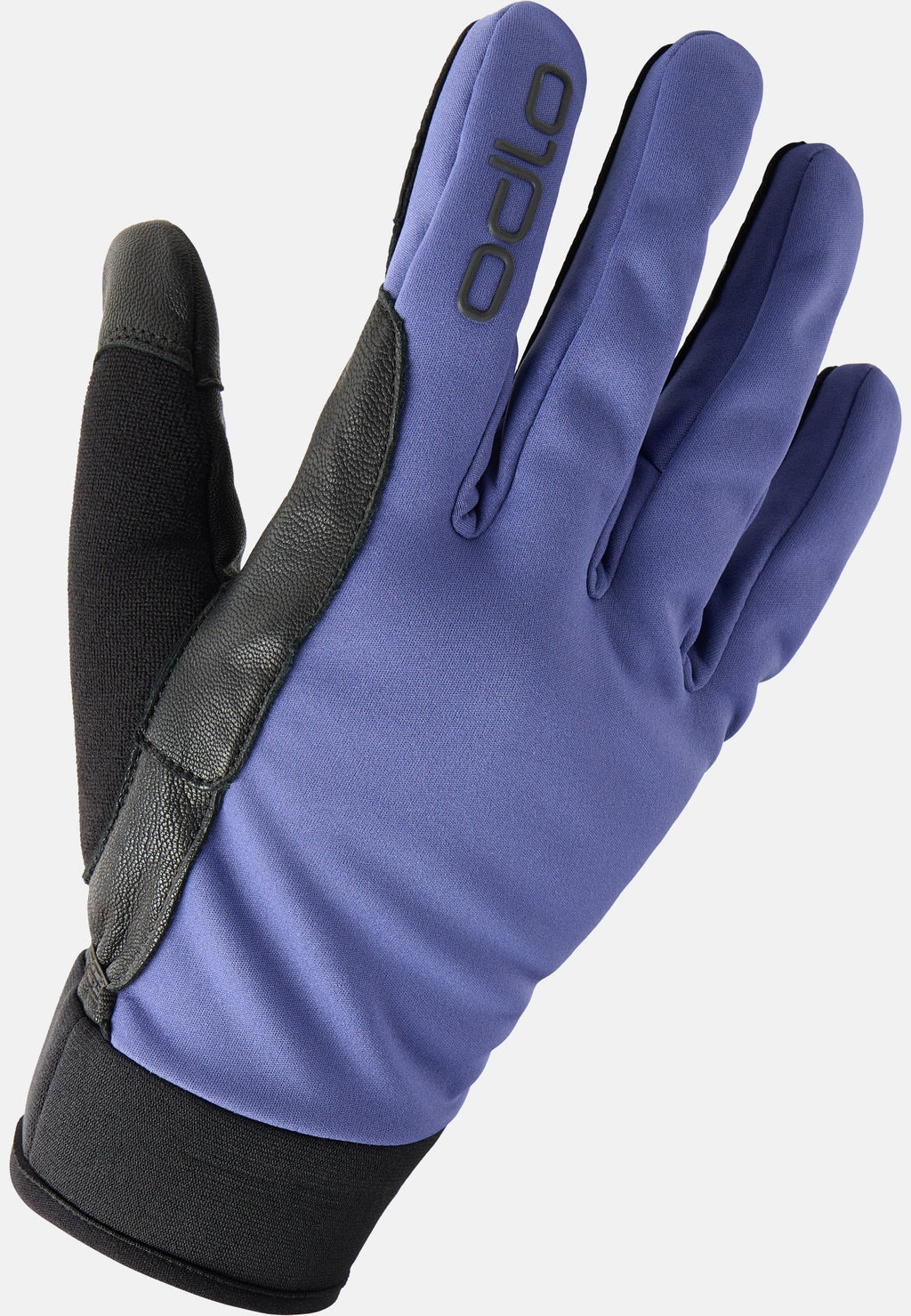 The Nordic Light gloves
