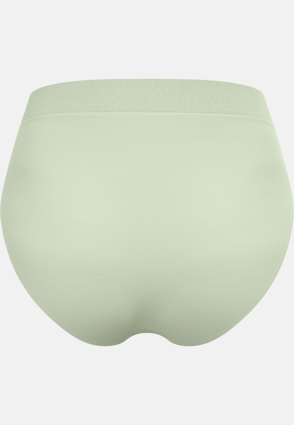 The Natural Merino 160 Brief
