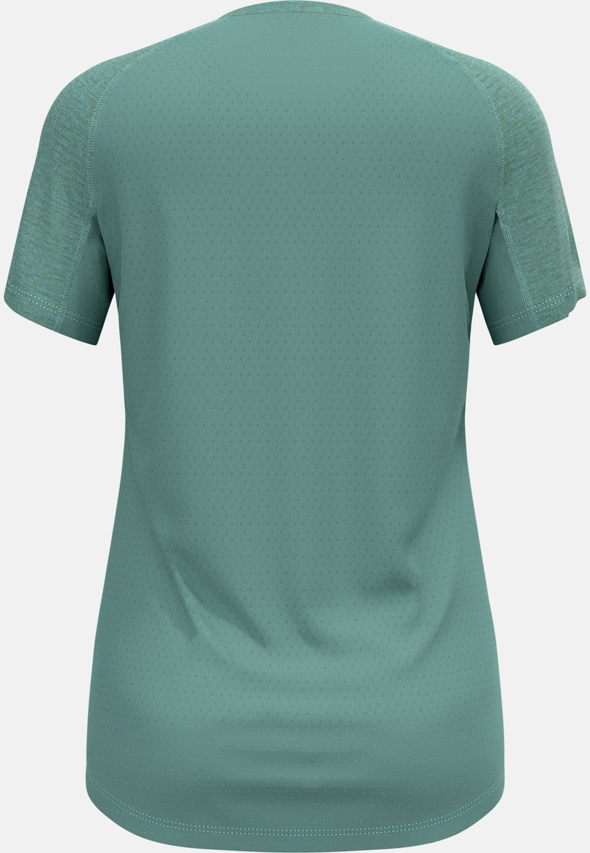 The Ascent Performance Wool 125 t-shirt