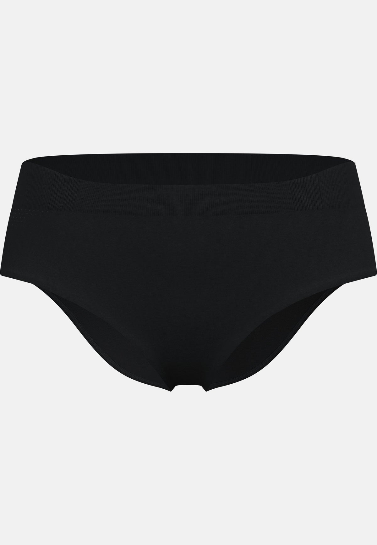 The Performance Light Brief