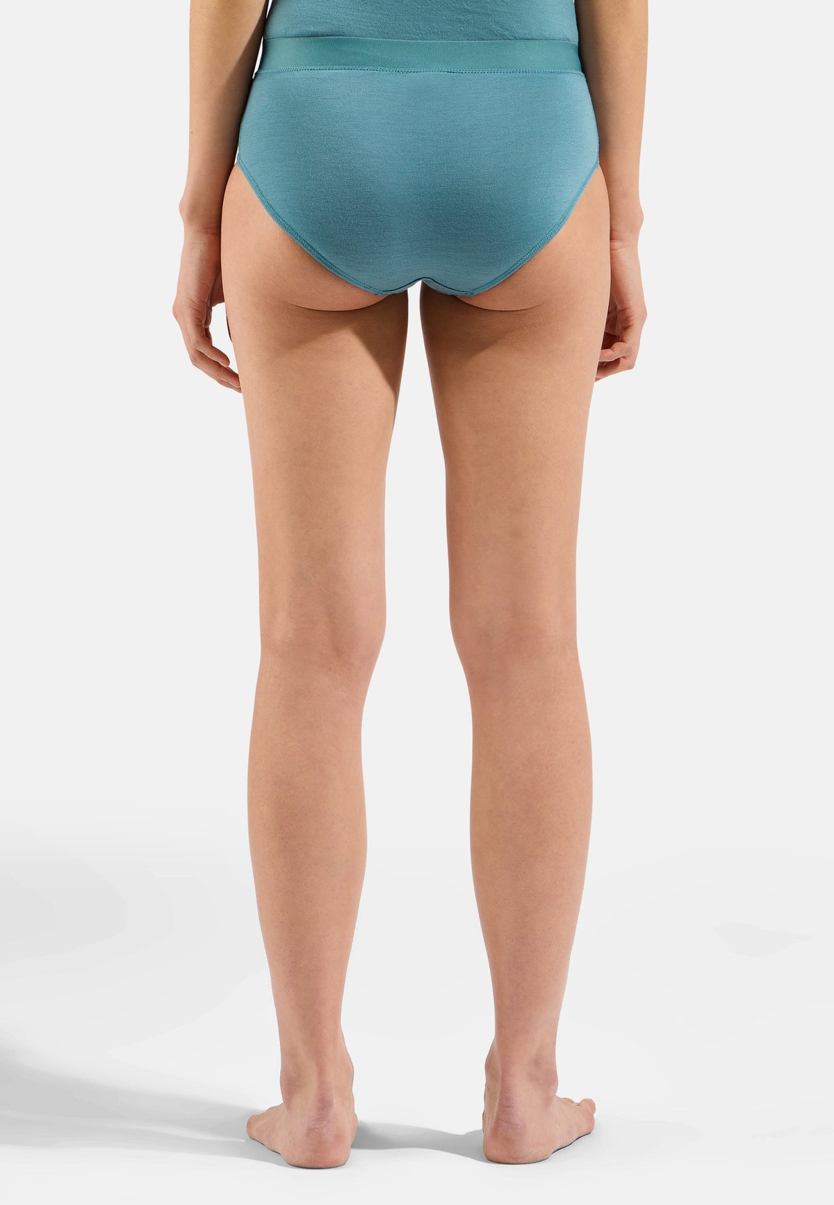 The Natural Merino 160 Brief