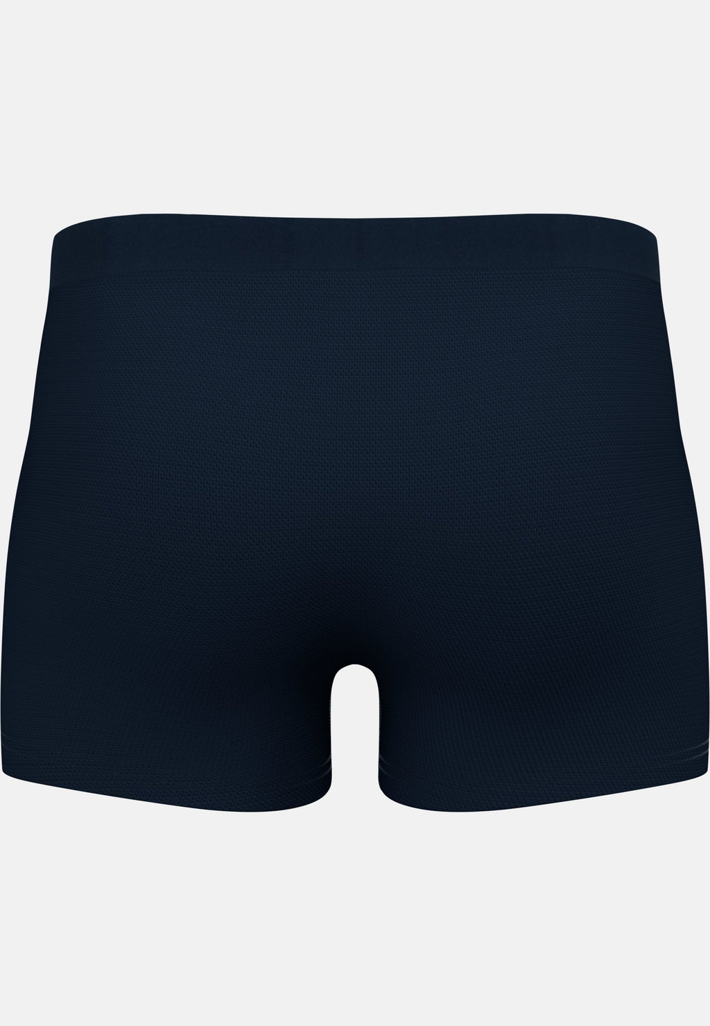 The Active F-Dry Light Boxer