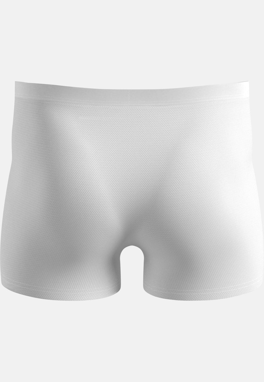 The Active F-Dry Light Boxer
