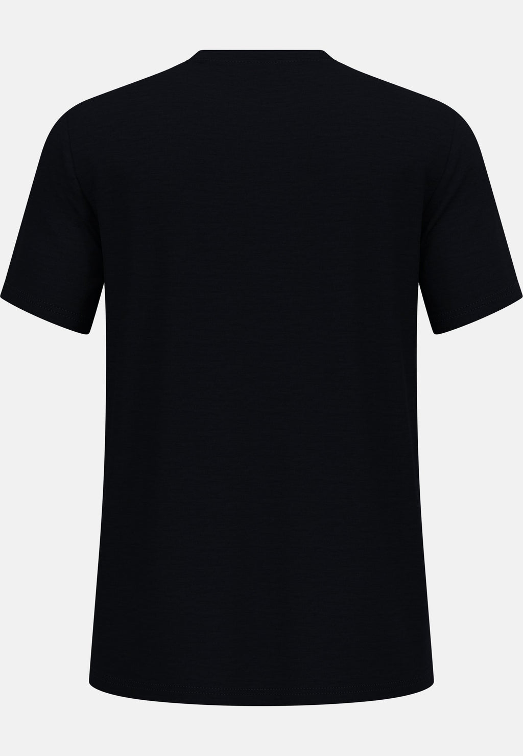 The Ascent merino 160 raincloud t-shirt