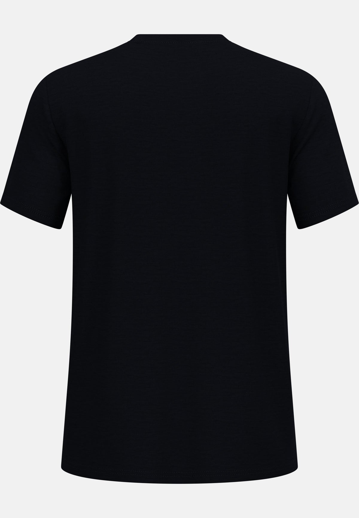 The Ascent merino 160 raincloud t-shirt