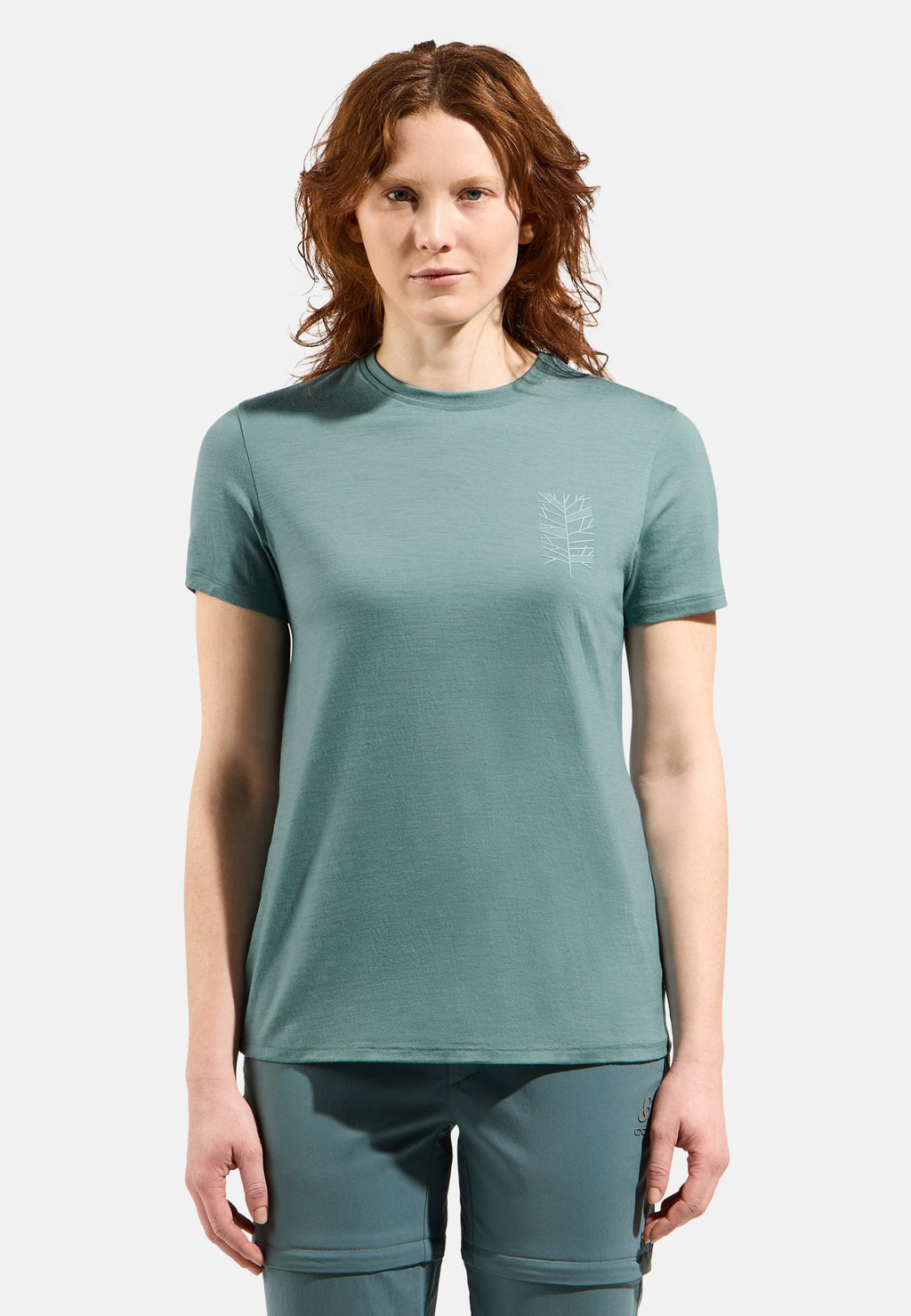 Ascent merino 160 tree t-shirt