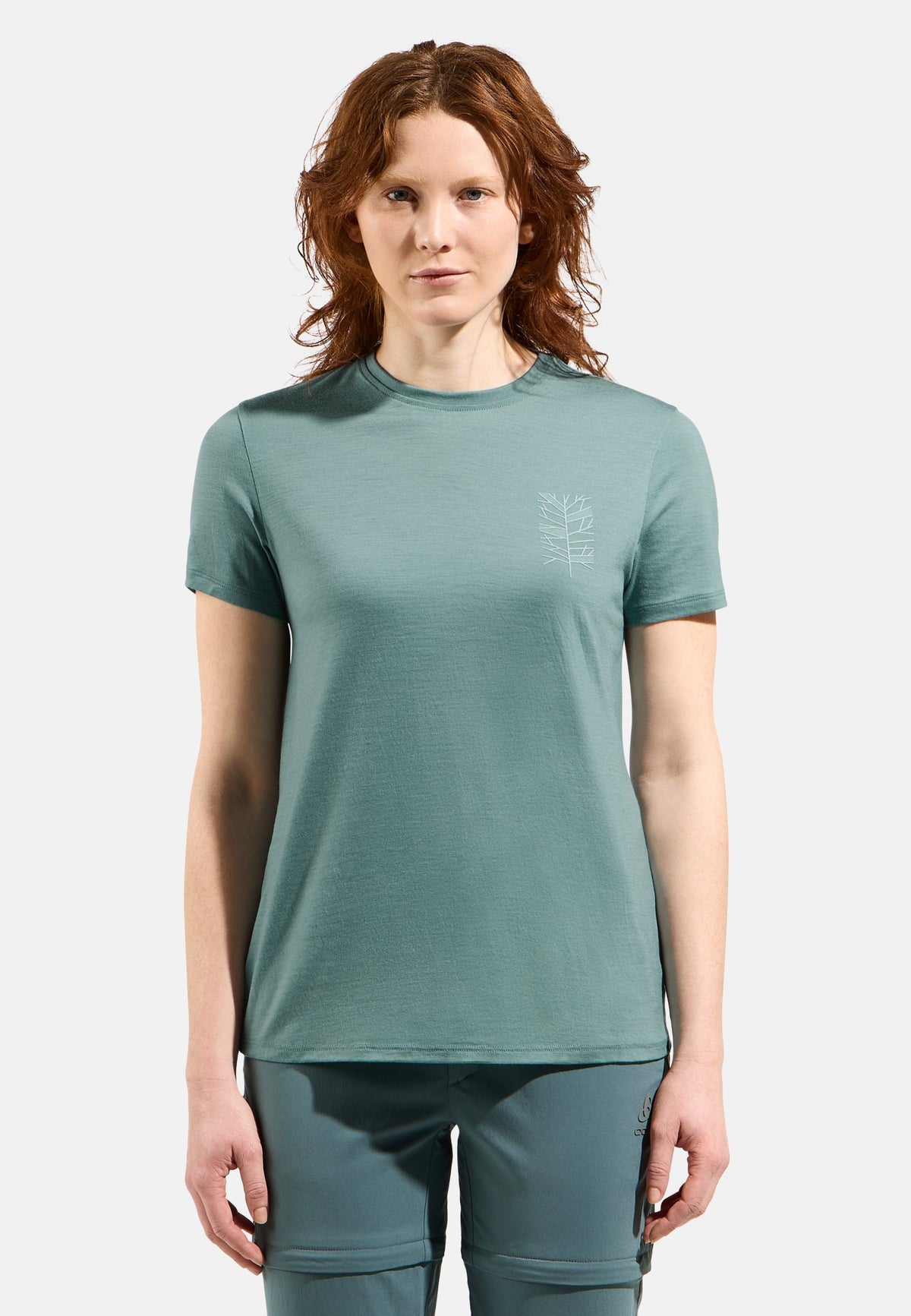 Ascent merino 160 tree t-shirt