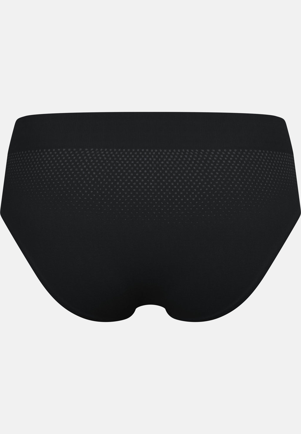 The Performance Light Brief