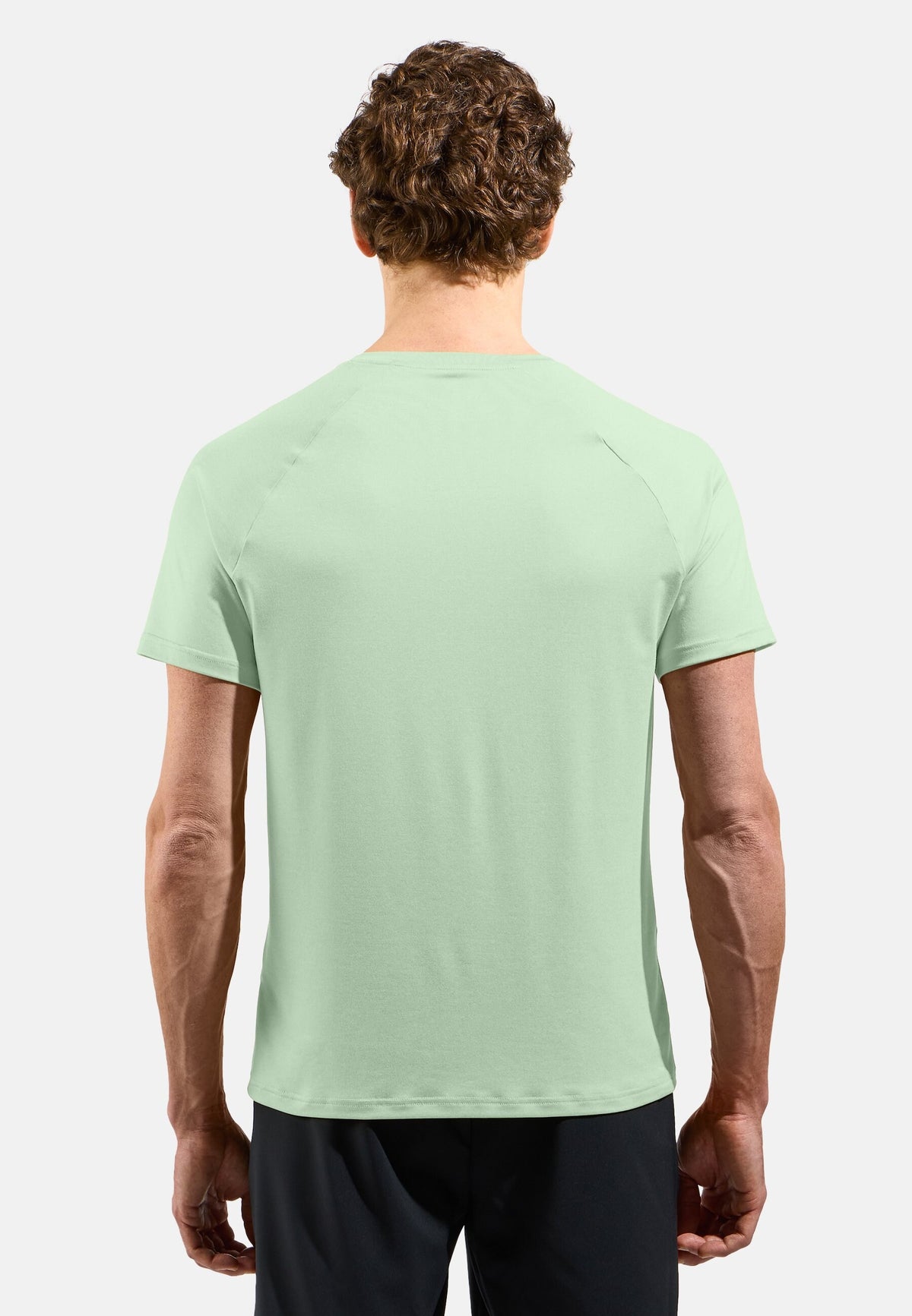 The Essential 365 t-shirt