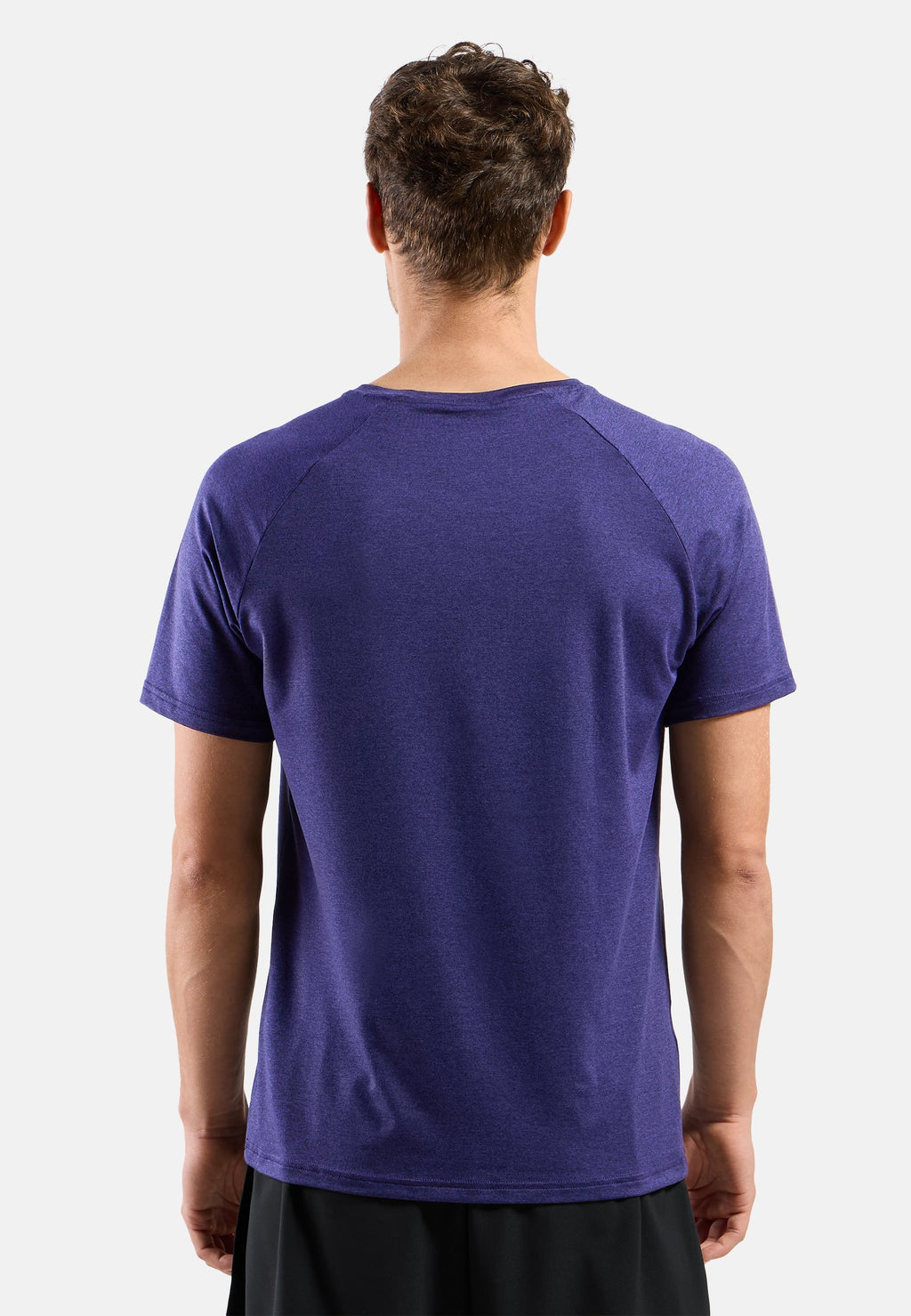 The Essential 365 t-shirt