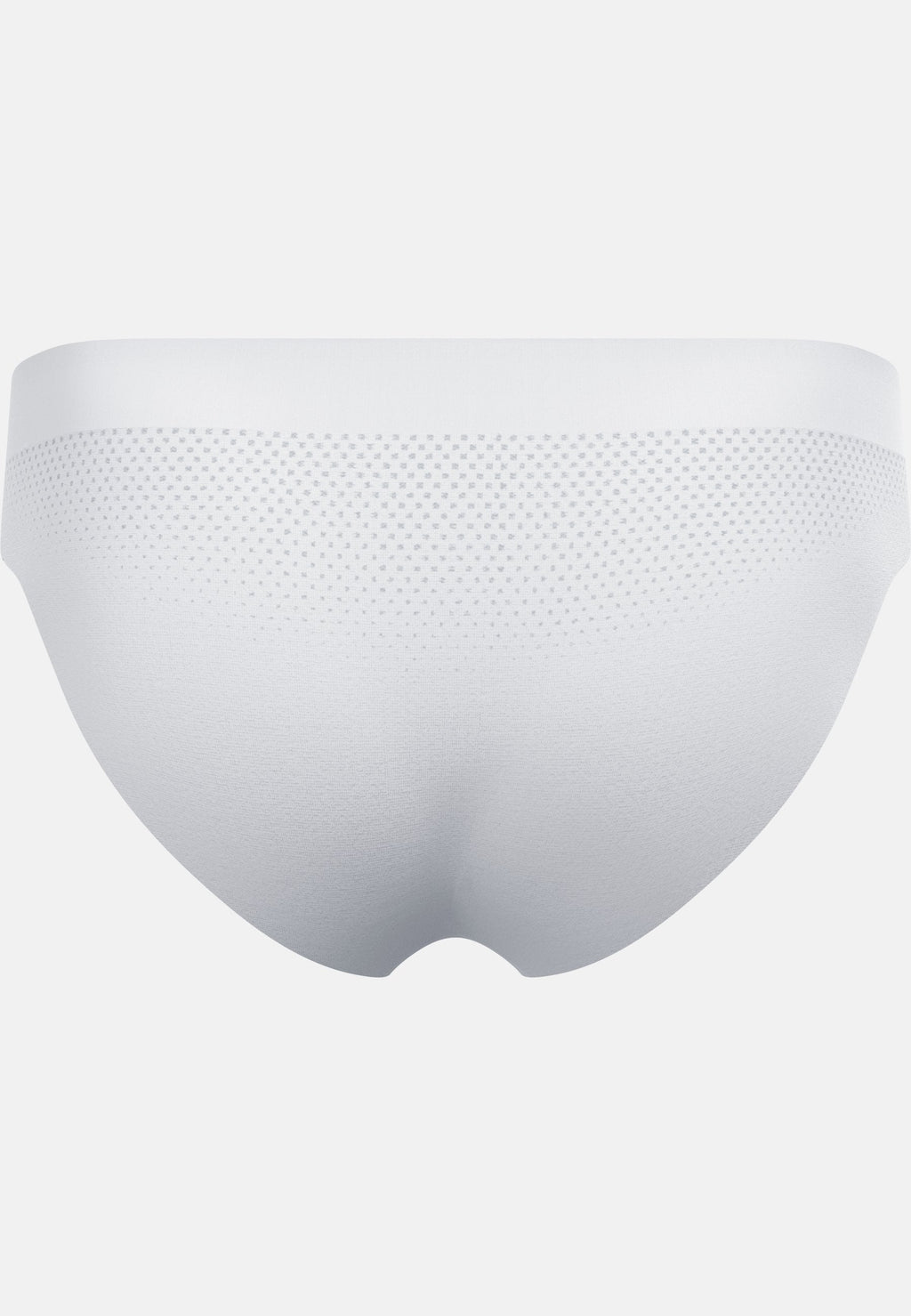 The Performance Light Brief