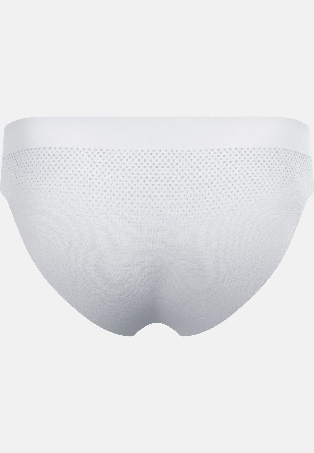 The Performance Light Brief