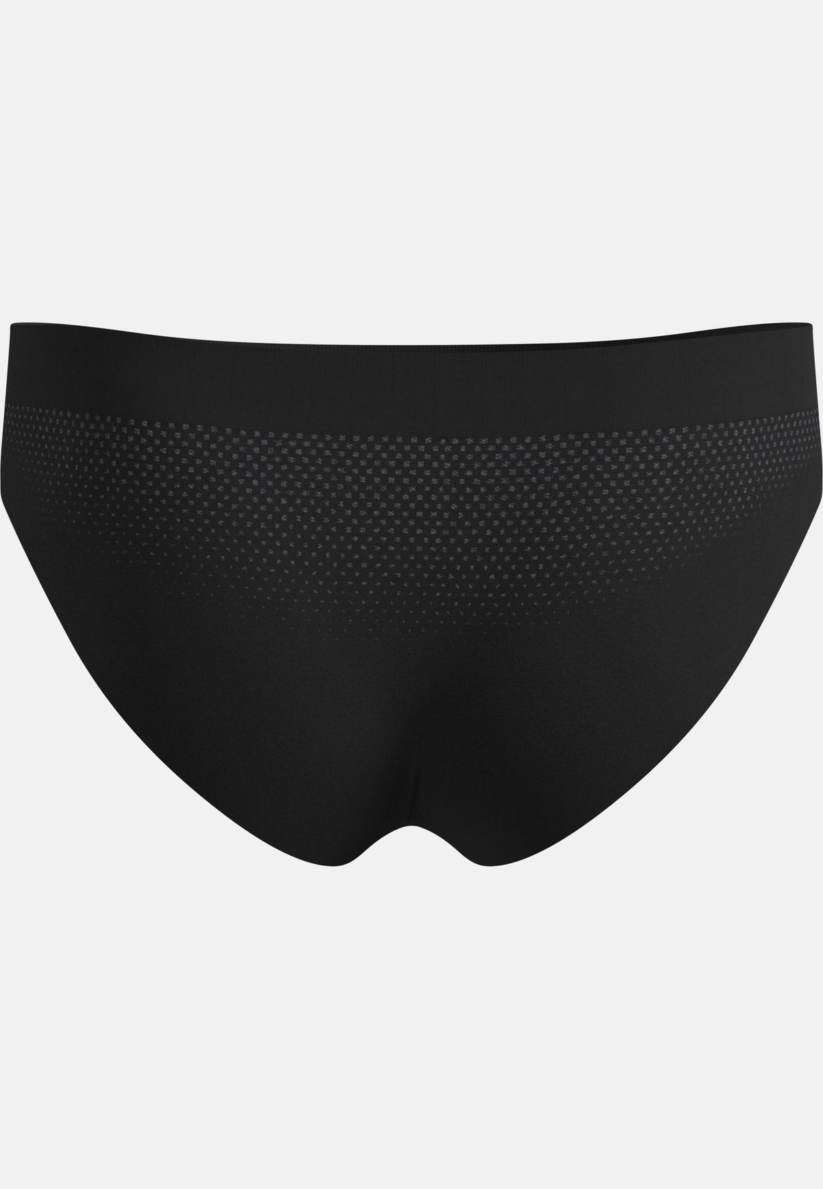 The Performance Light Brief